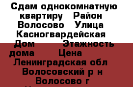 Сдам однокомнатную квартиру › Район ­ Волосово › Улица ­ Касногвардейская › Дом ­ 15 › Этажность дома ­ 5 › Цена ­ 13 000 - Ленинградская обл., Волосовский р-н, Волосово г. Недвижимость » Квартиры аренда   . Ленинградская обл.